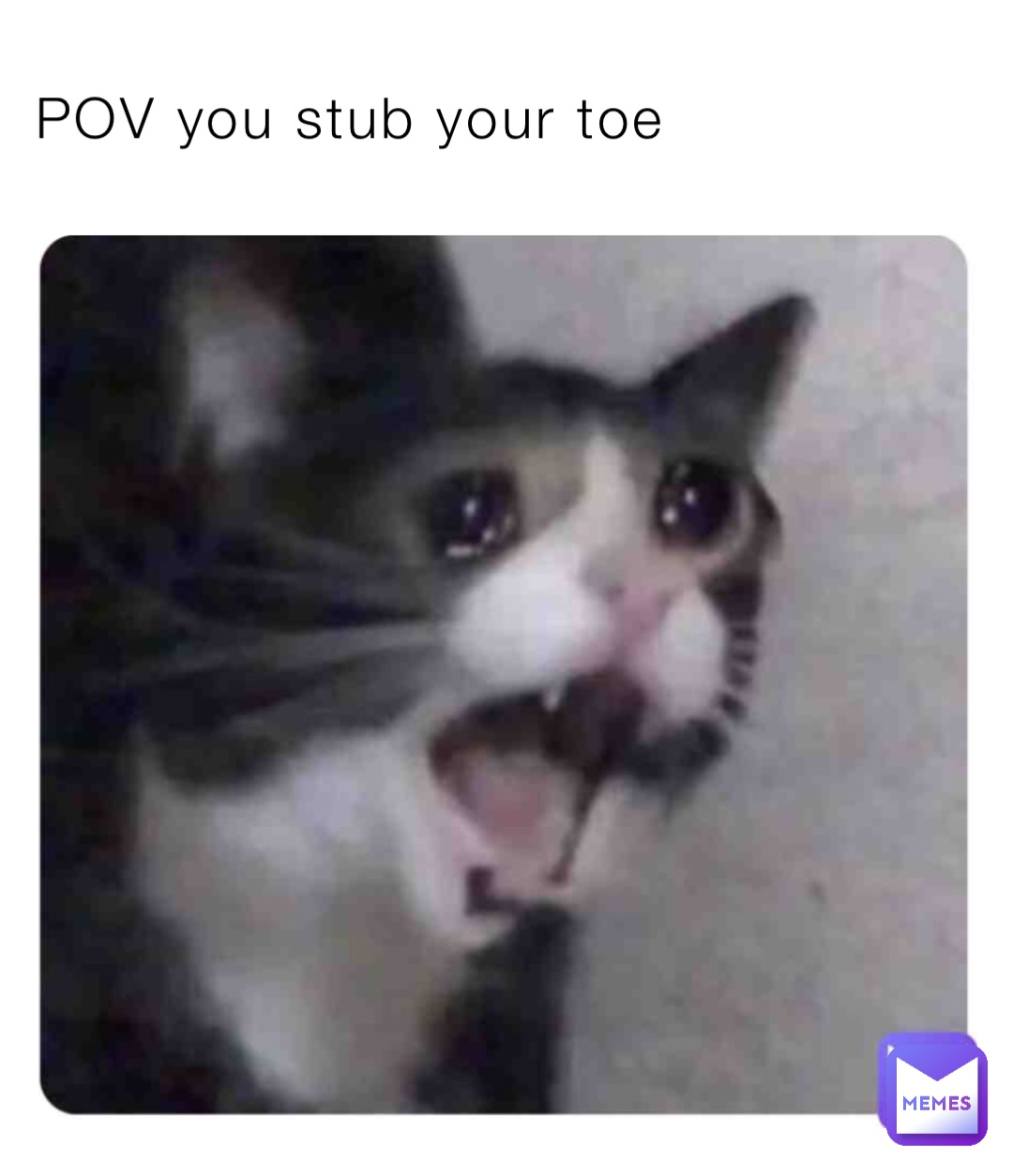 POV you stub your toe
