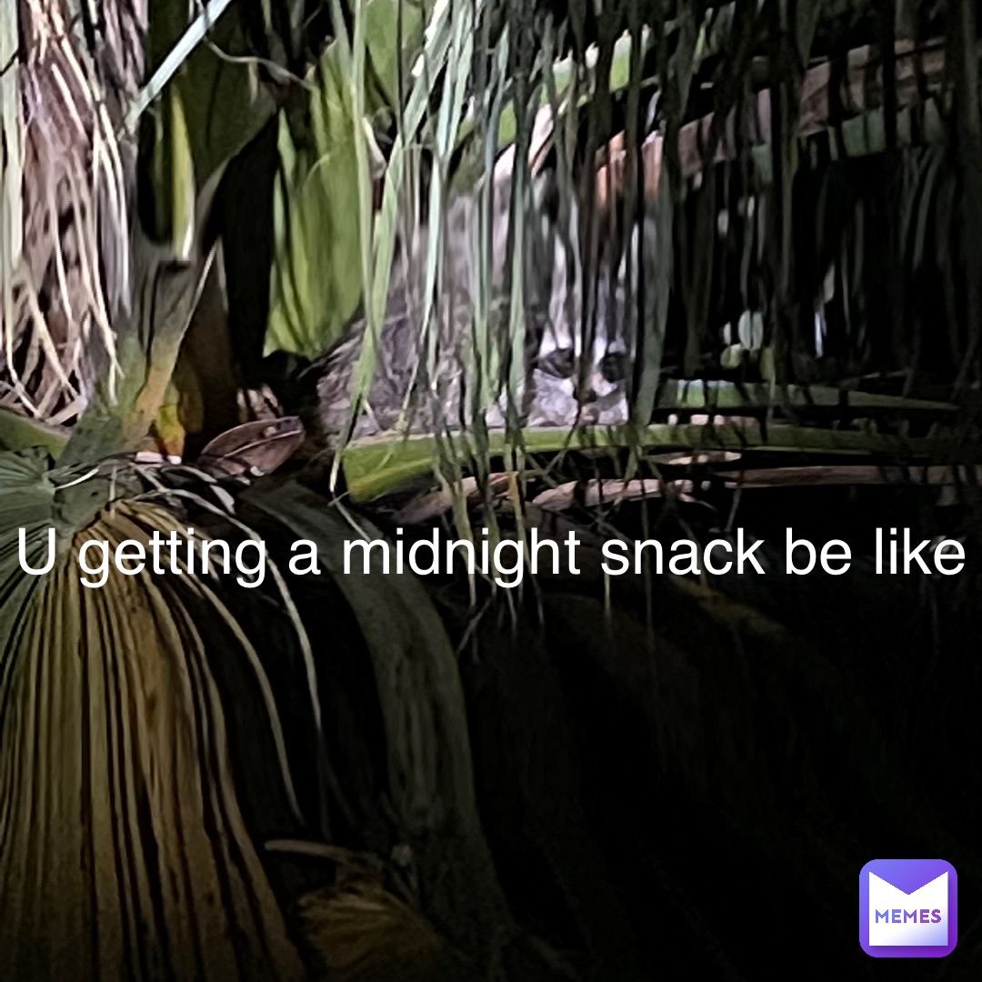 U getting a midnight snack be like