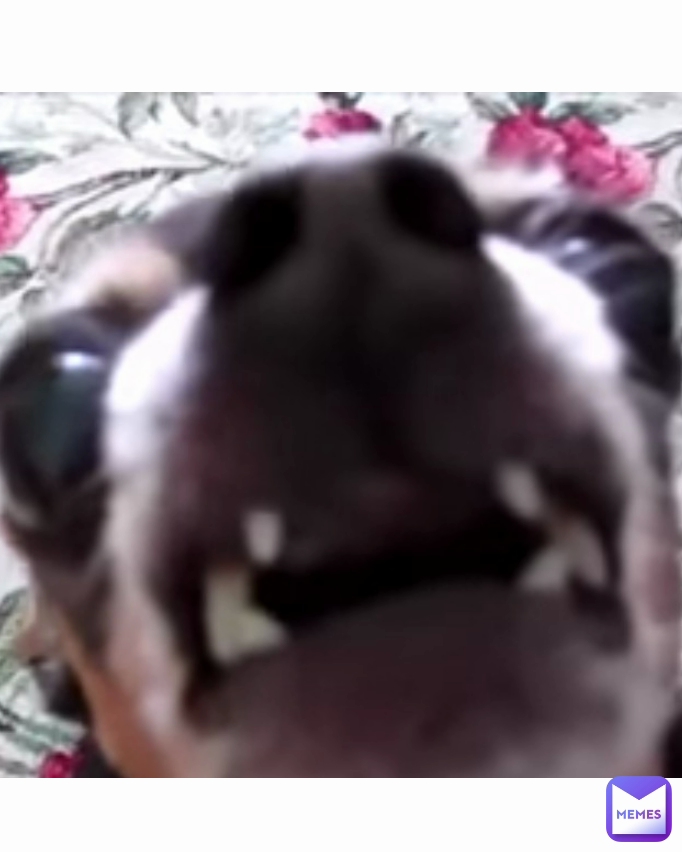 Meme by Banana_empire