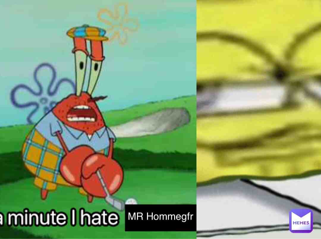 Wait a minute I hate Mr Hommegfr