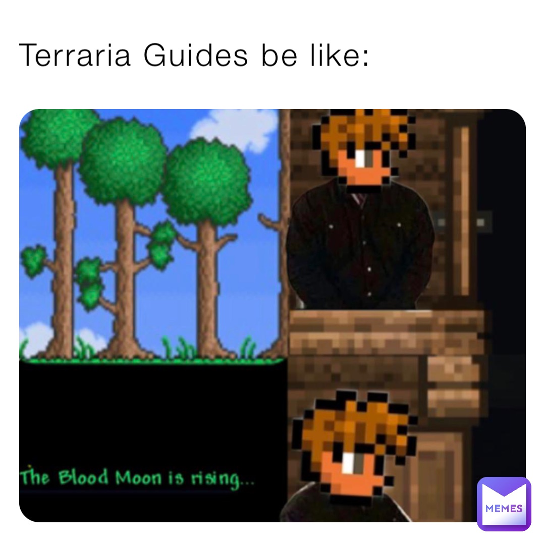 Terraria Guides be like: