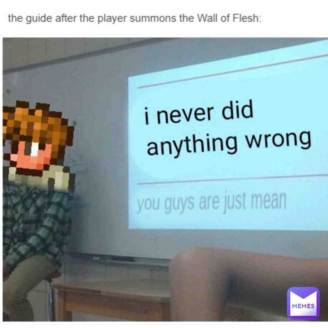 Guide After The player summons the wall of flesh