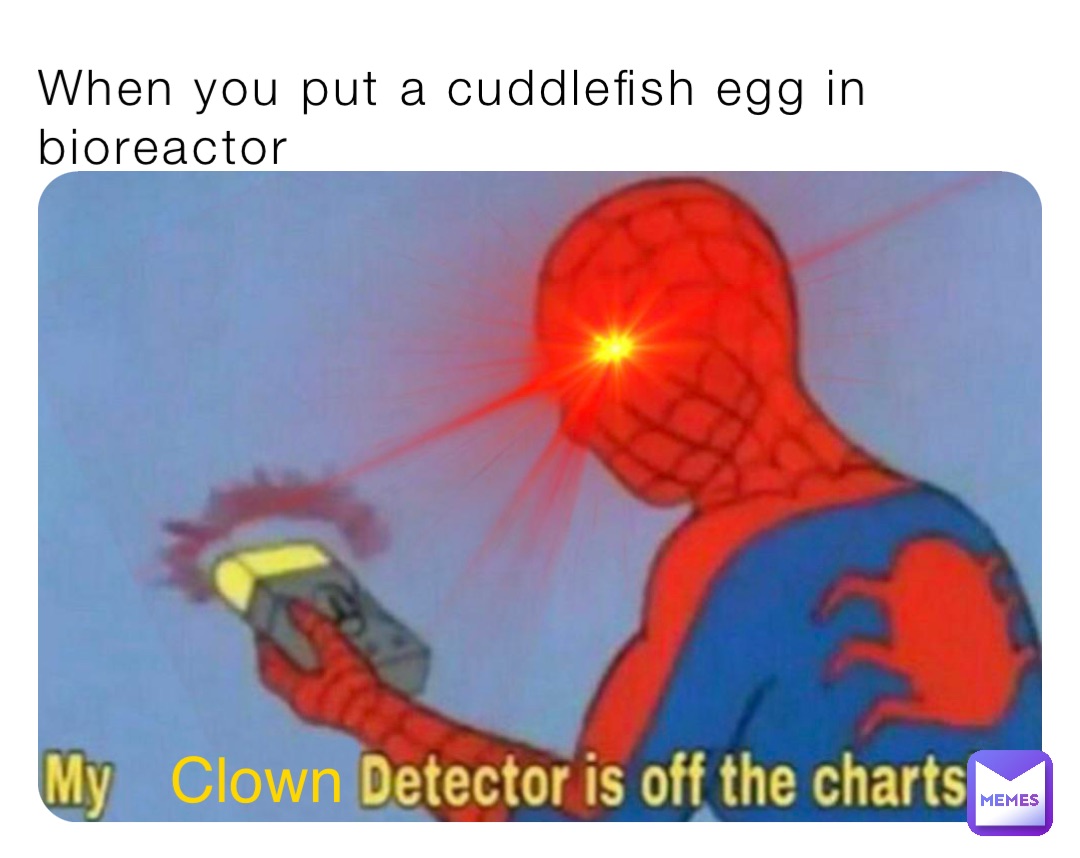 When you put a cuddlefish egg in bioreactor Clown