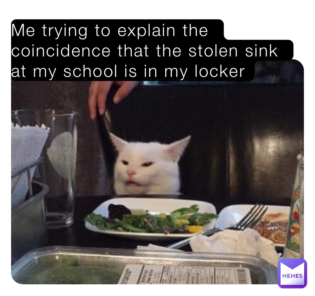 Me trying to explain the coincidence that the stolen sink at my school is in my locker