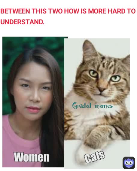 BETWEEN THIS TWO HOW IS MORE HARD TO UNDERSTAND.  Graded memes
