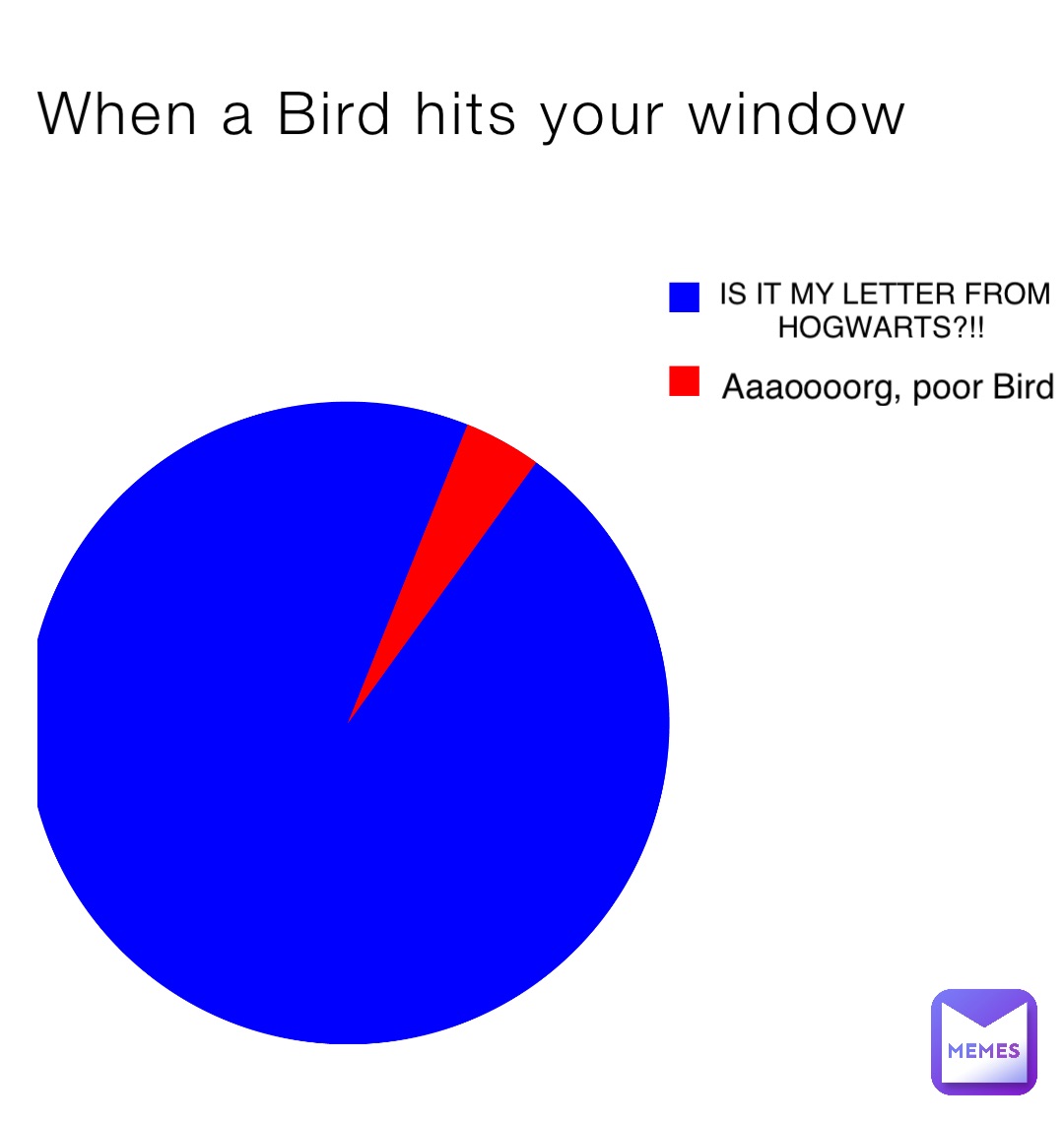 When a Bird hits your window IS IT MY LETTER FROM HOGWARTS?!! Aaaoooorg, poor Bird