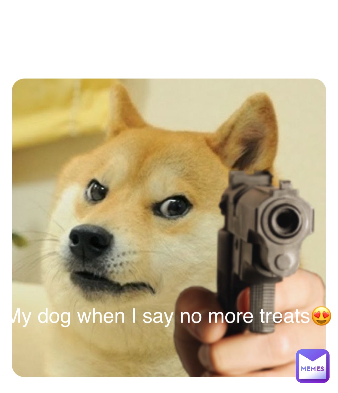 Double tap to edit My dog when I say no more treats😍