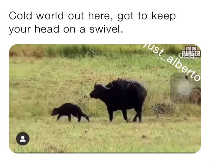 Cold world out here, got to keep your head on a swivel. Albajana629