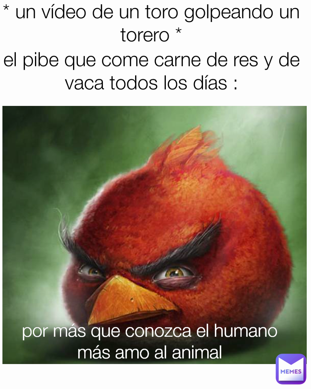 por más que conozca el humano más amo al animal * un vídeo de un toro golpeando un torero * el pibe que come carne de res y de vaca todos los días :