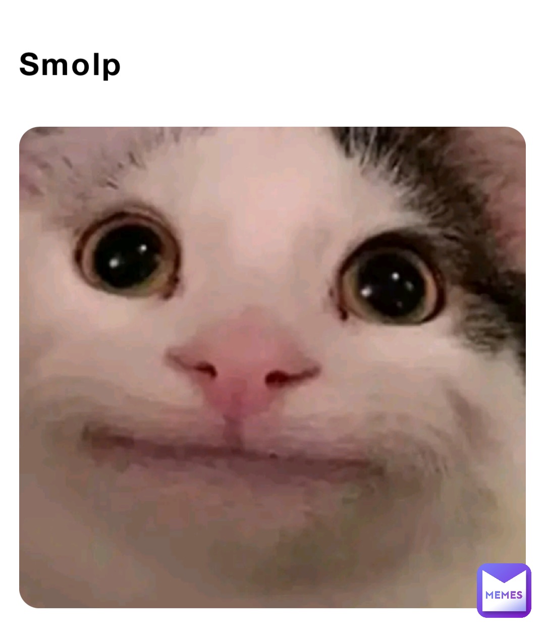 Meme by idkwhatisthis827