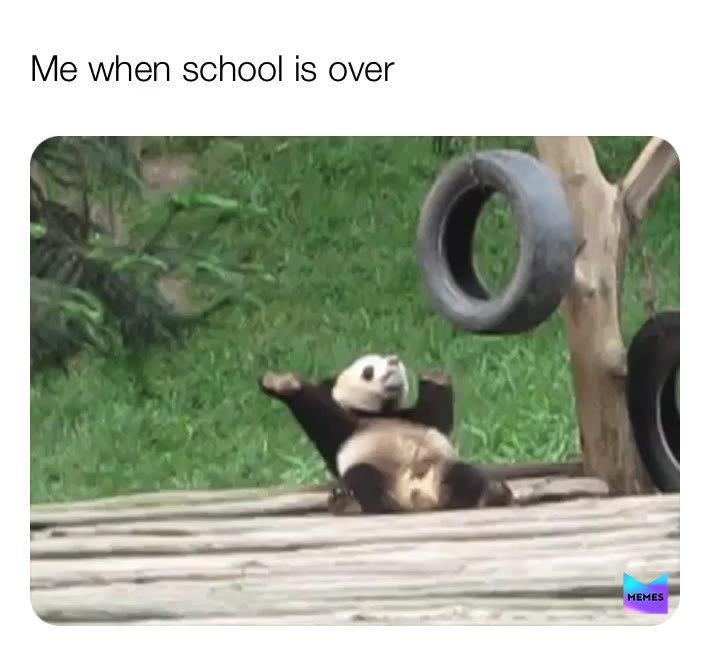 Meme shared by @mackthecheese102