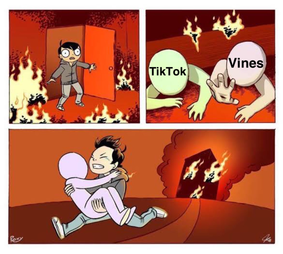 Vines TikTok