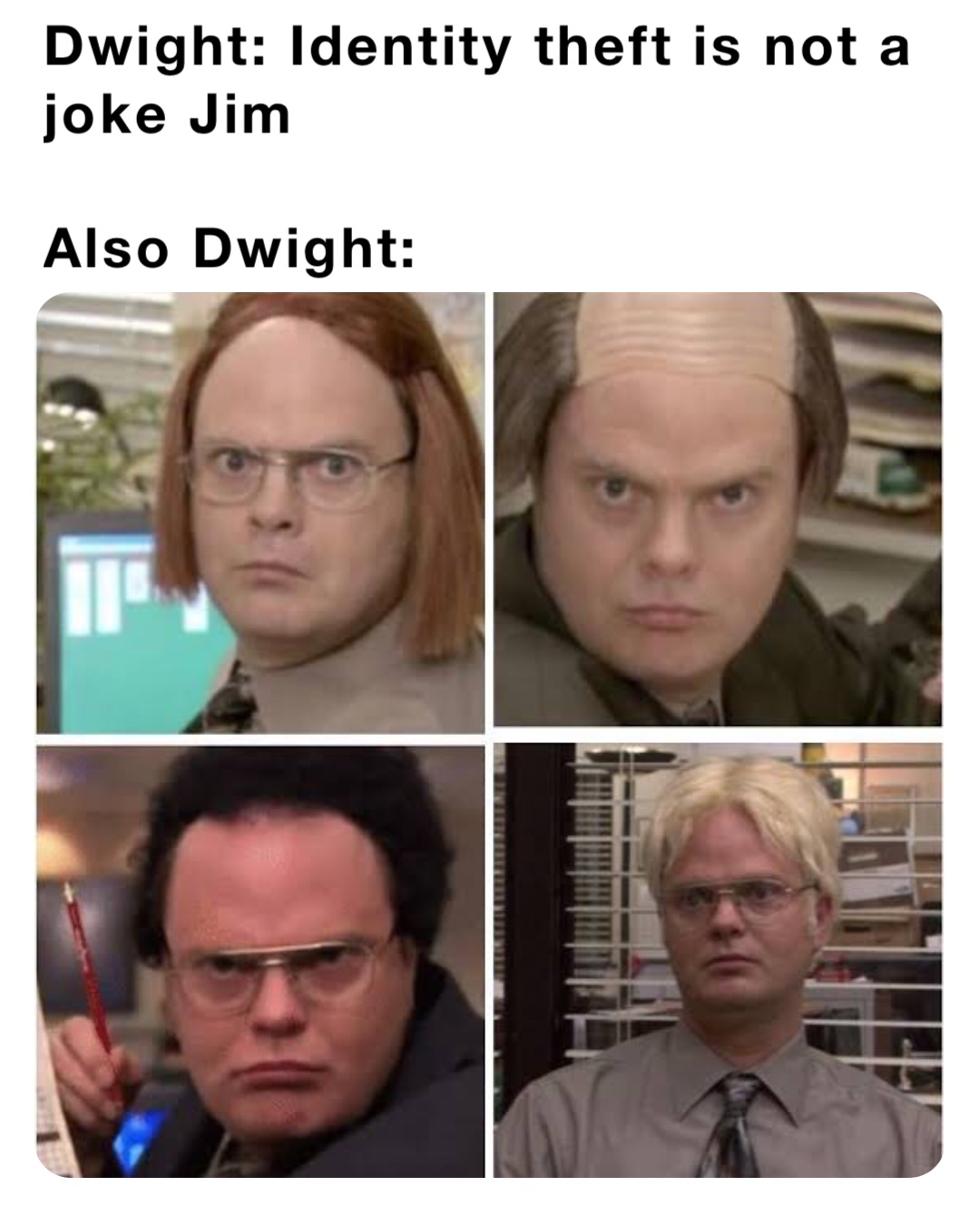 Dwight: Identity theft is not a joke Jim

Also Dwight: