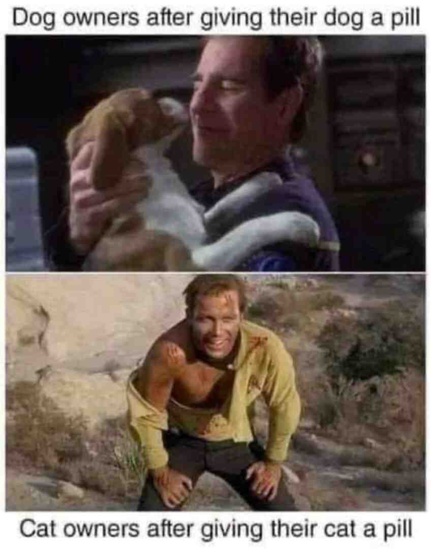 Meme preview