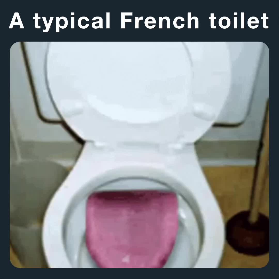 A typical French toilet The_Meminator Memes