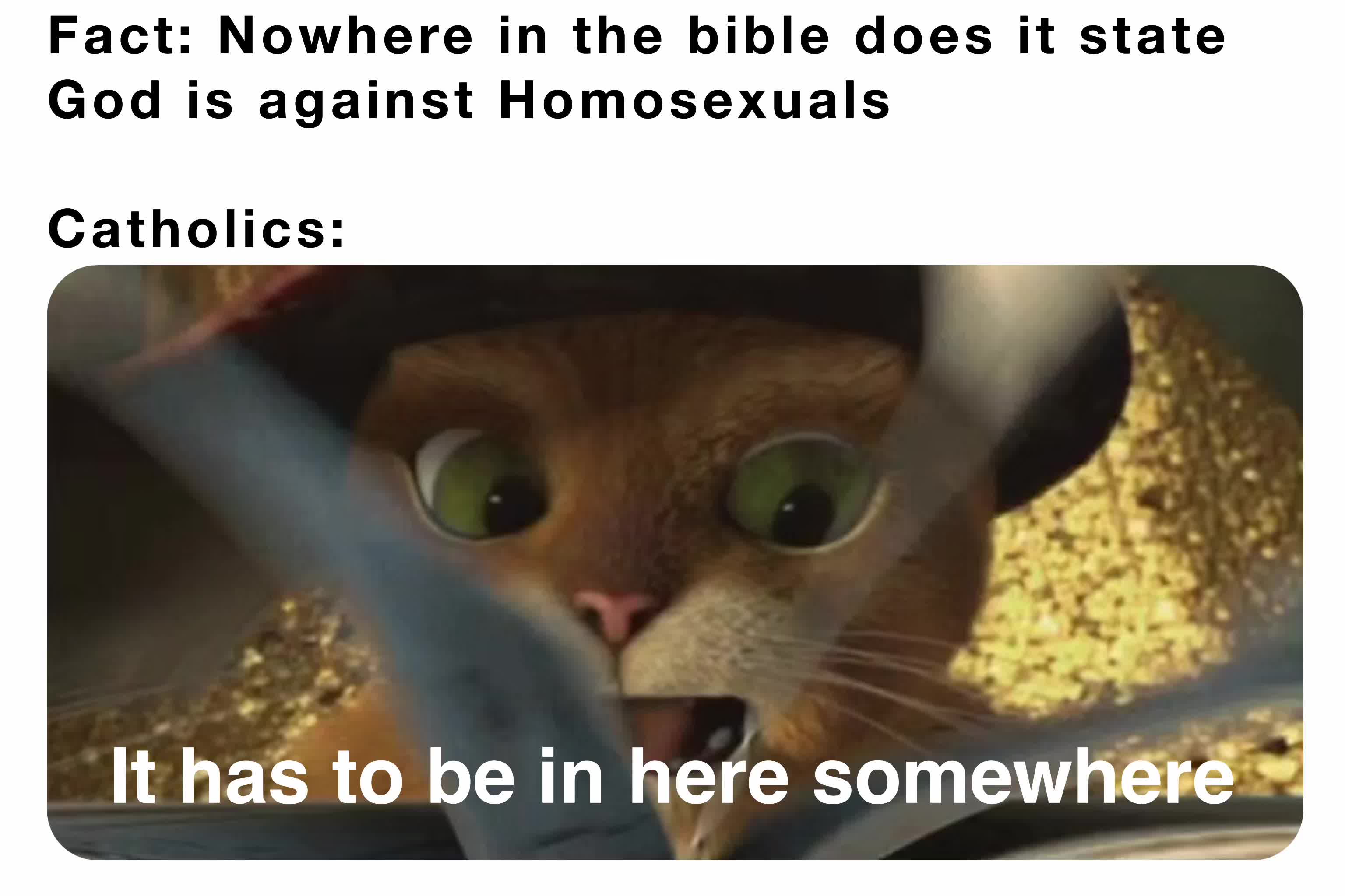 fact-nowhere-in-the-bible-does-it-state-god-is-against-homosexuals