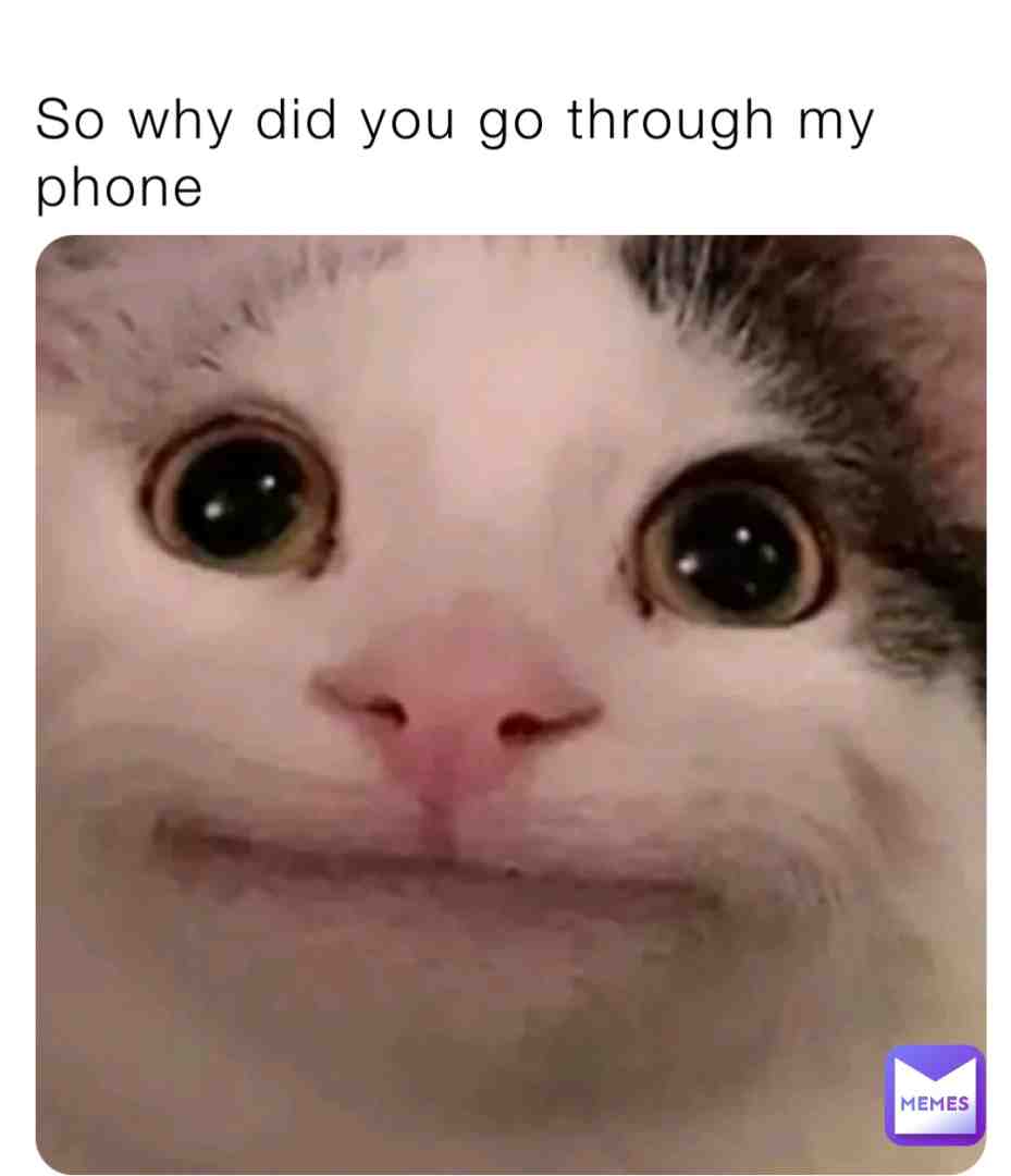 Meme preview