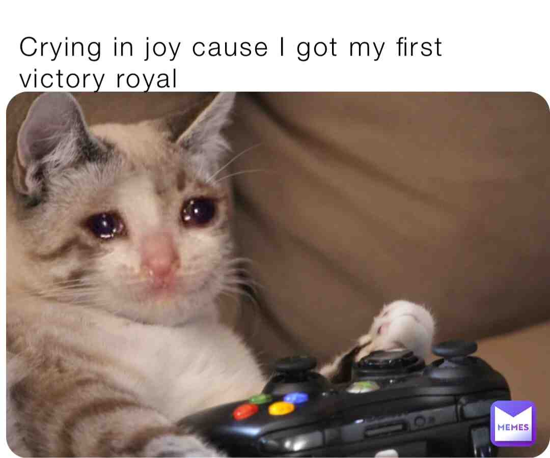 Meme preview