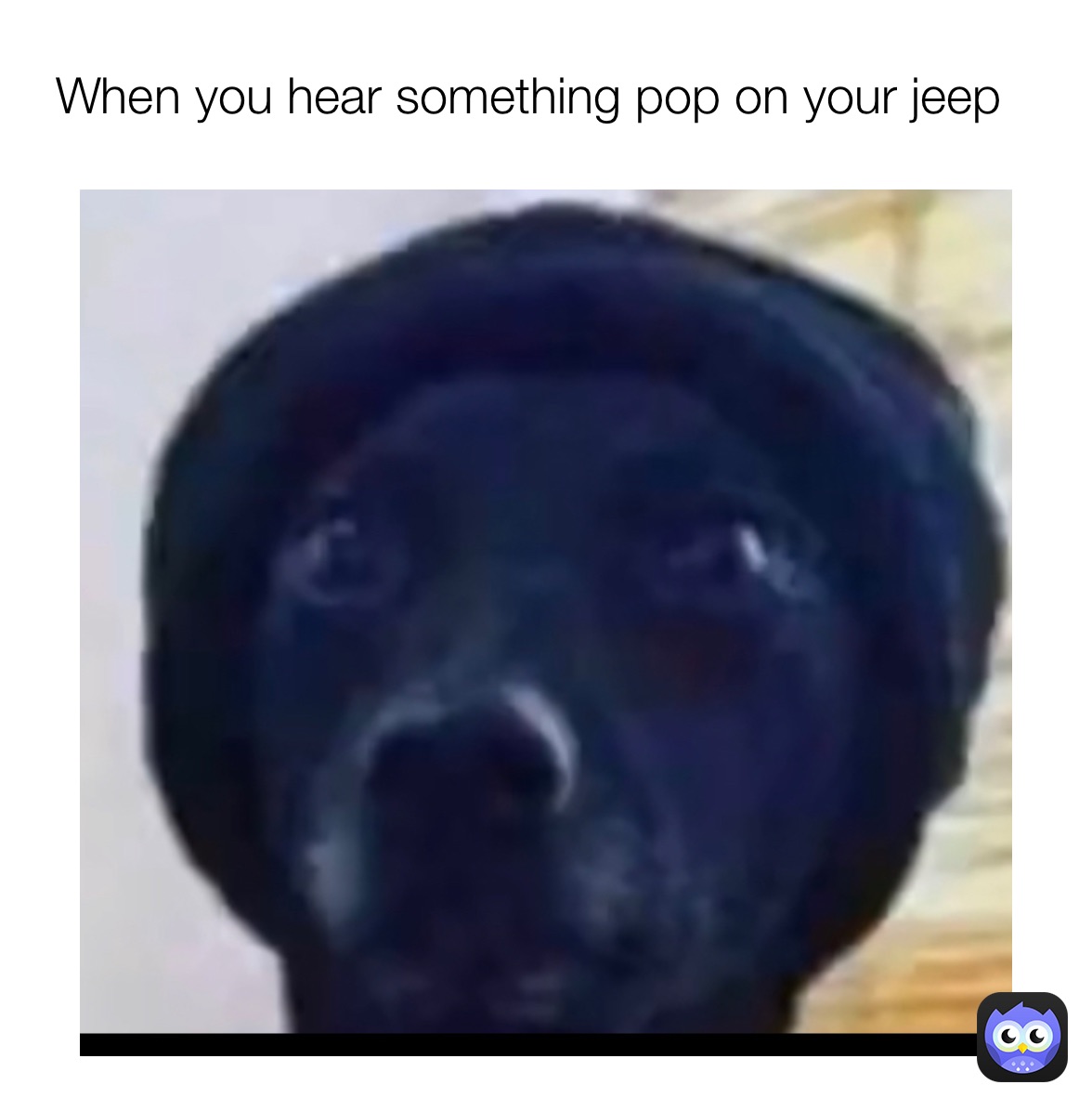 Meme by Cheeseboy101