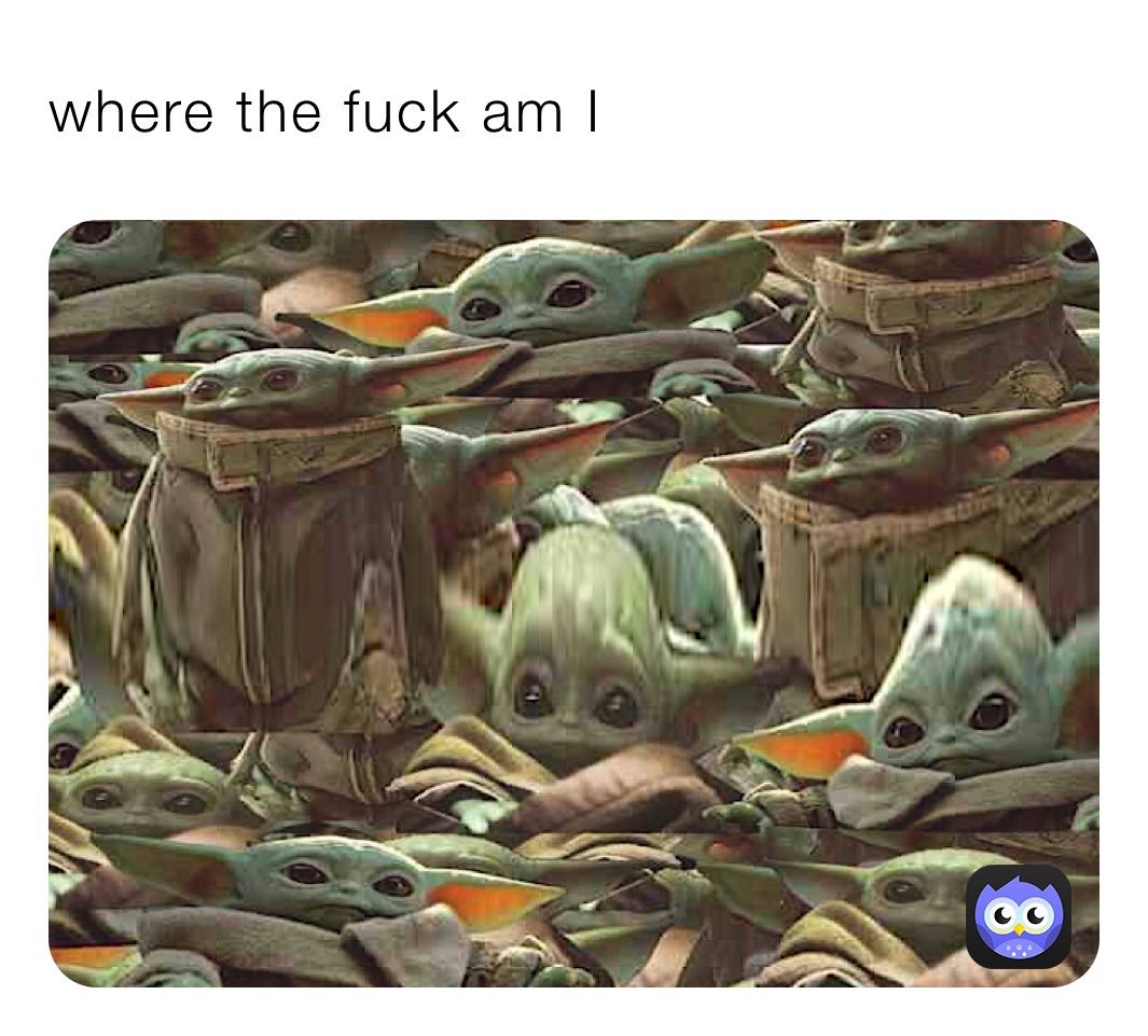 where the fuck am I 