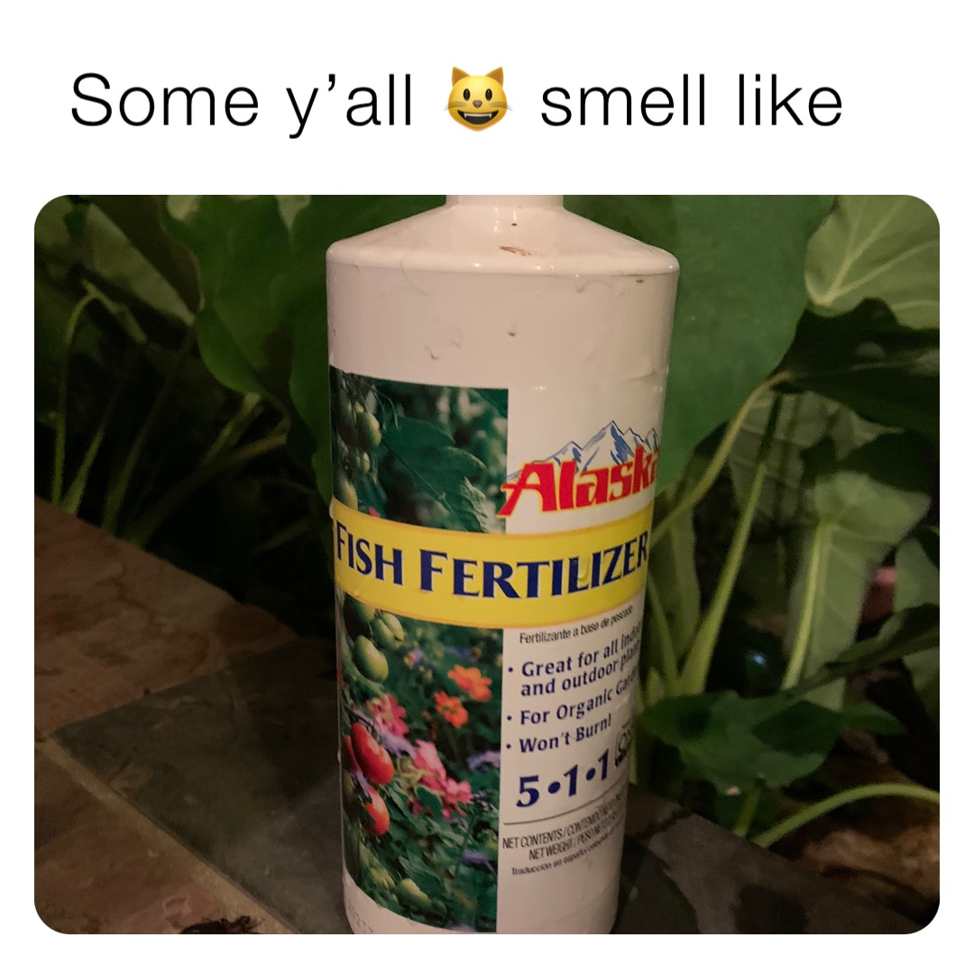 Some y’all 😺 smell like