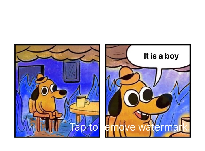 Meme by alfie-darch_1611783667