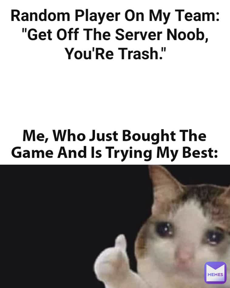 Random Player On My Team: "Get Off The Server Noob, You'Re Trash." Me, Who Just Bought The Game And Is Trying My Best: