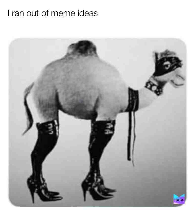 Meme shared by @MoeLester44