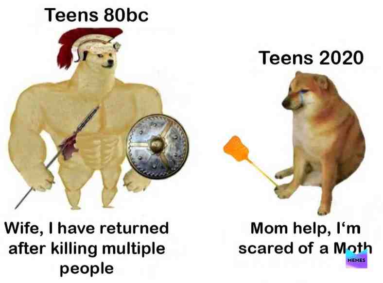 ​ #boog_memes ​