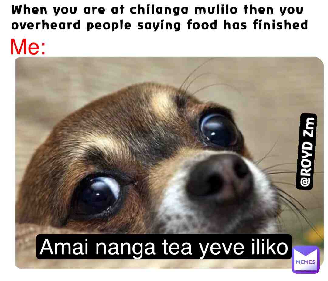 Meme shared by @Lilroyd2