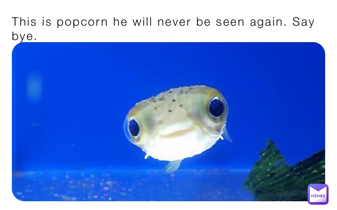 This is popcorn he will never be seen again. Say bye.