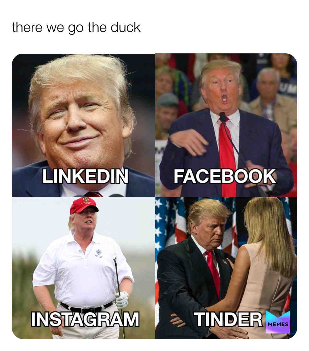 Meme shared by @callmehermes_