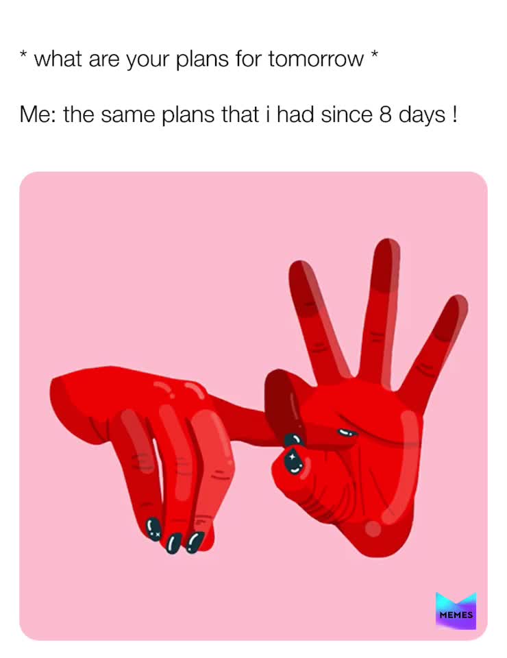 What are your plans ?