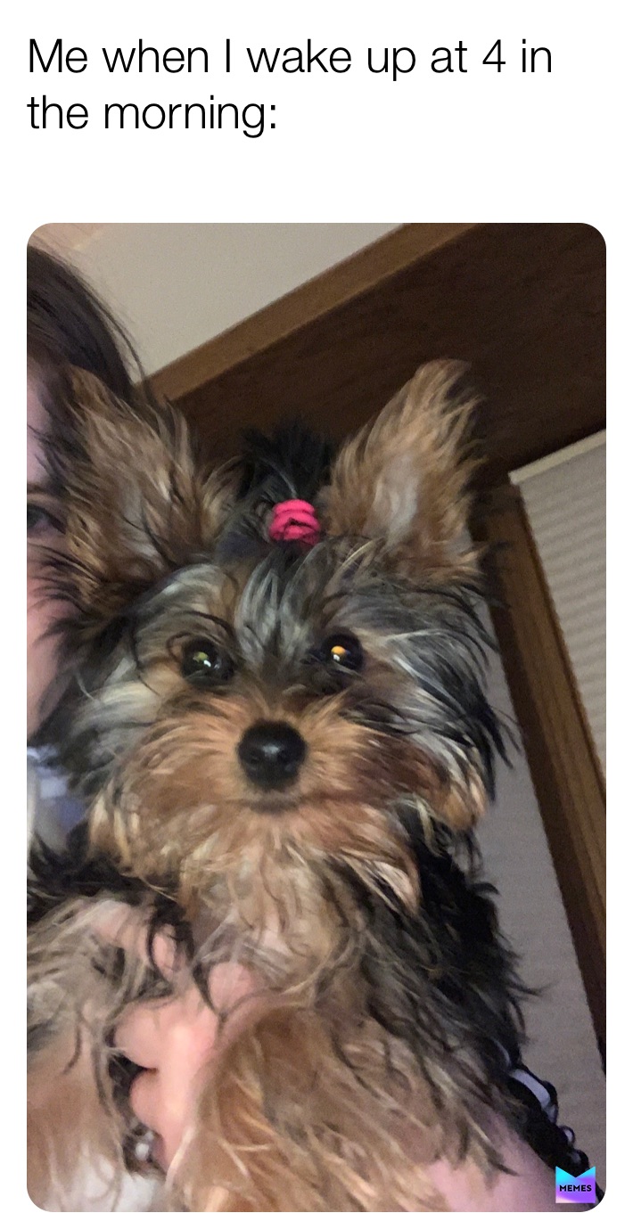 Post by abby_k_a Memes