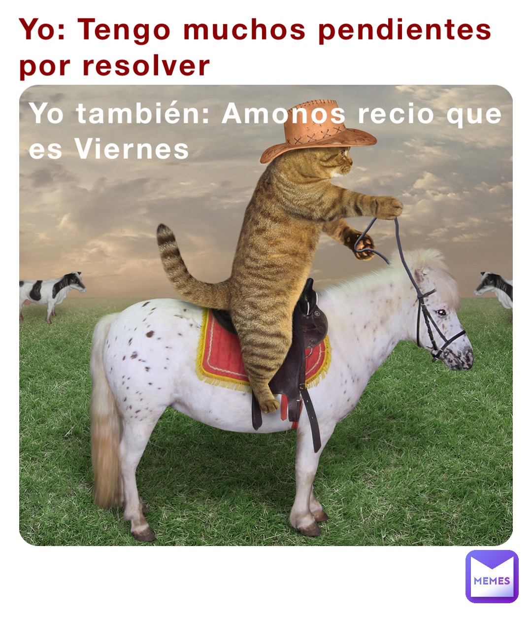Yo: Tengo muchos pendientes por resolver Yo también: Amonos recio que es Viernes