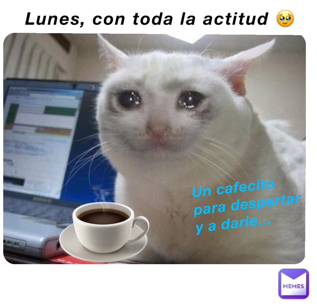 Lunes, con toda la actitud 🥹 ☕️ Un cafecito para despertar y a darle…