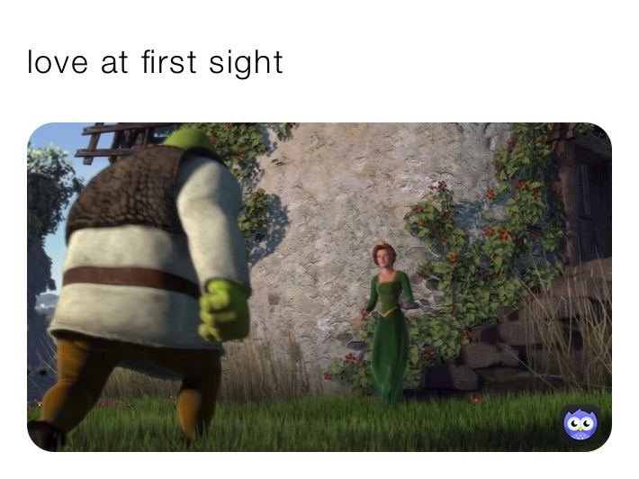 love at first sight 