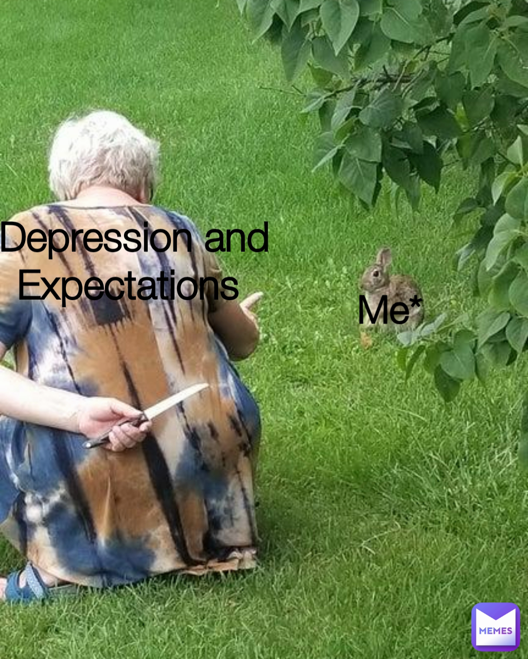Depression and Expectations  Me*