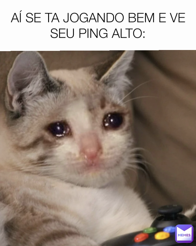 Meme by esquecimeunome