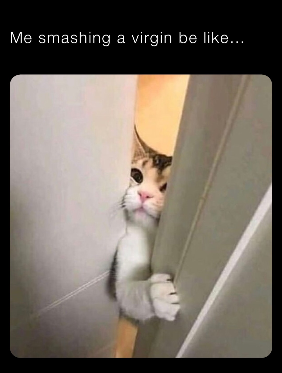 Me smashing a virgin be like…