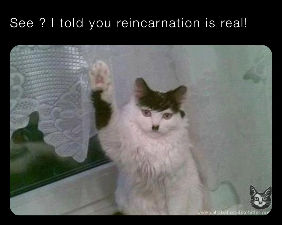 See ? I told you reincarnation is real!