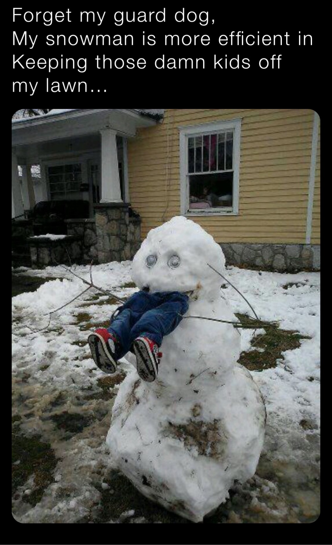 Forget my guard dog,
My snowman is more efficient in
Keeping those damn kids off my lawn…