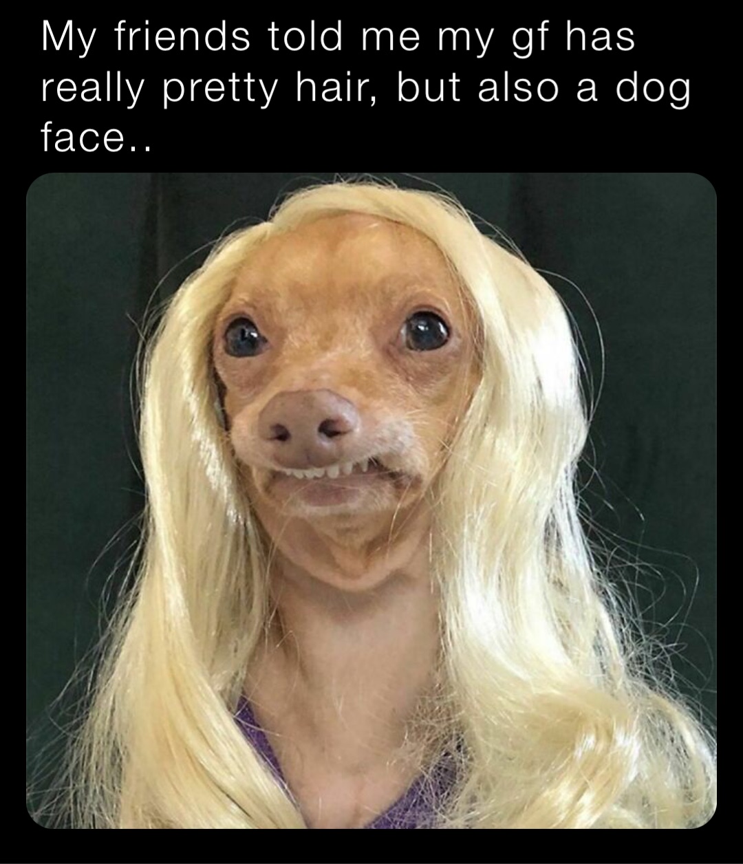My friends told me my gf has really pretty hair, but also a dog face..