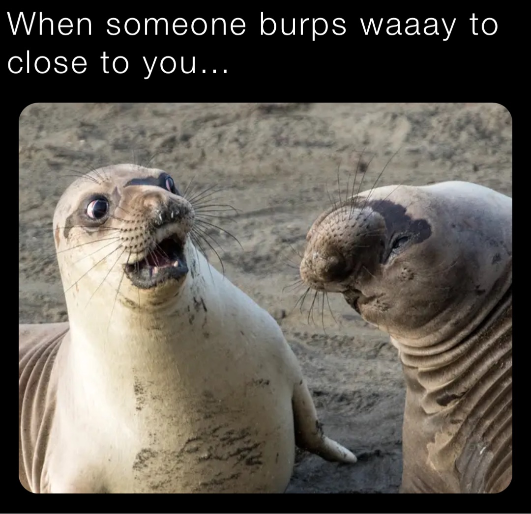 When someone burps waaay to close to you… | @Vychod_radek | Memes