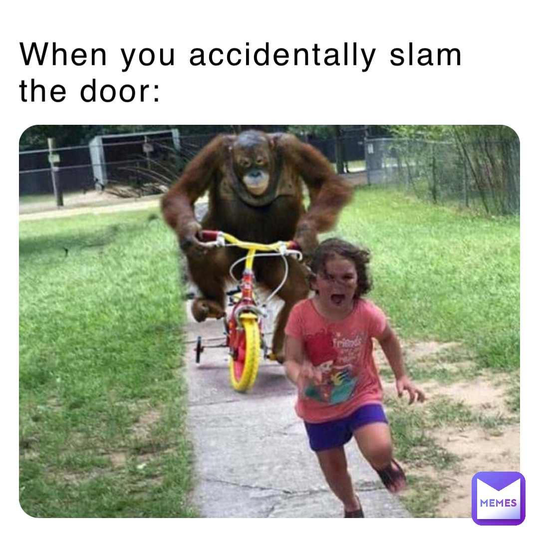 When you accidentally slam the door: