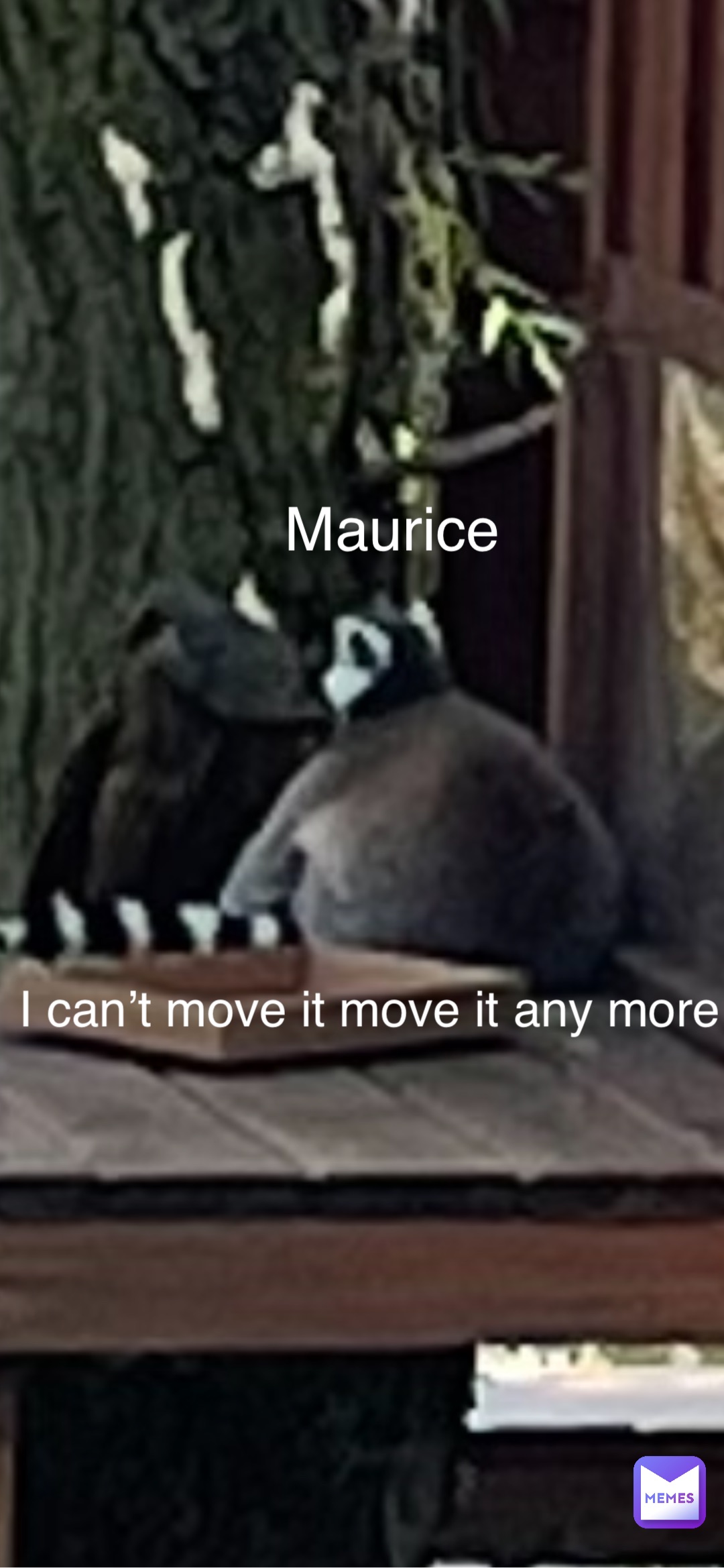 Maurice I can’t move it move it any more