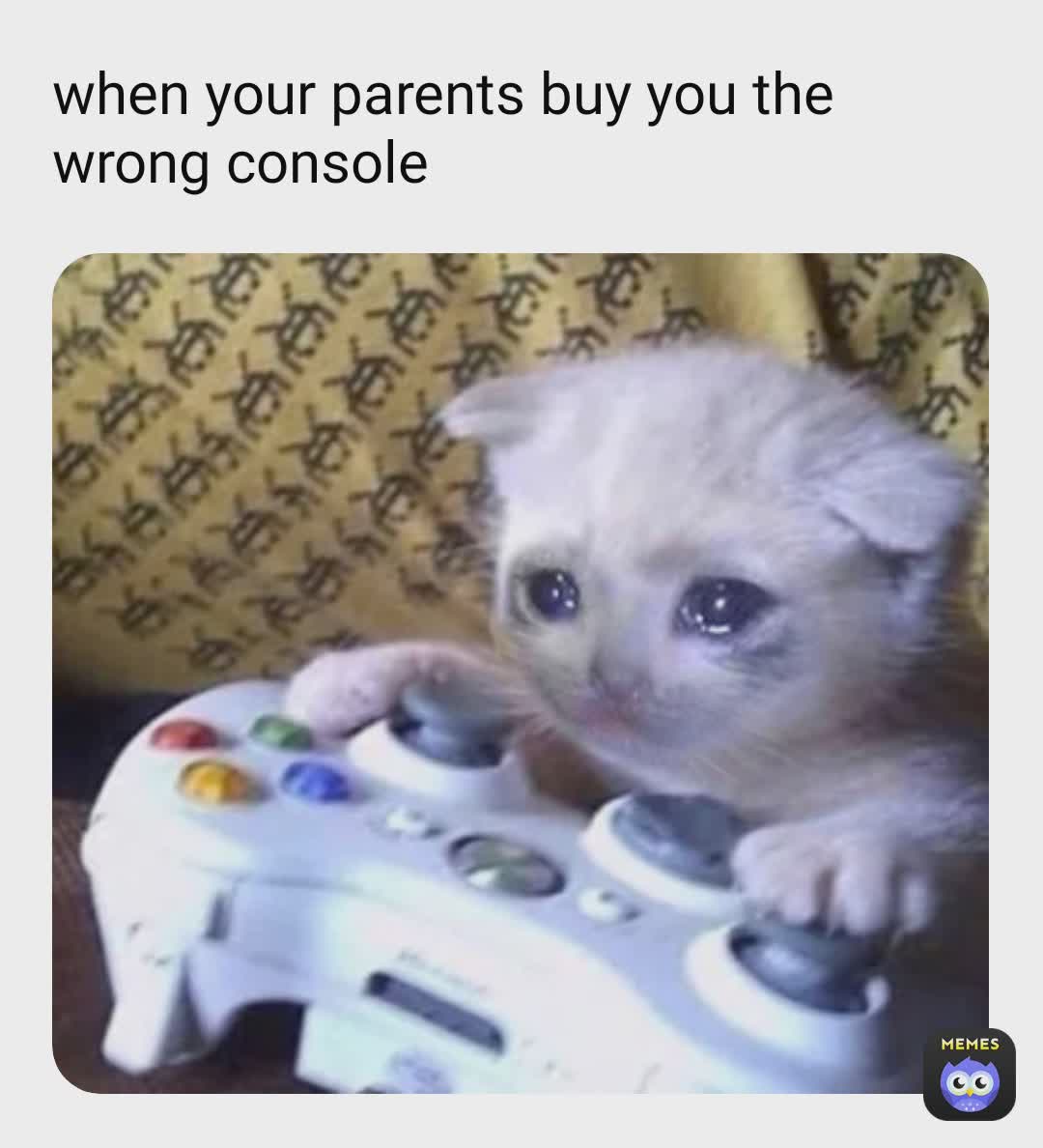 Meme by lazymeislazy