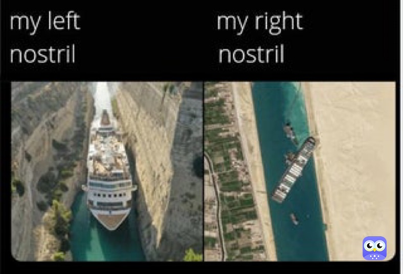 Meme by lazymeislazy