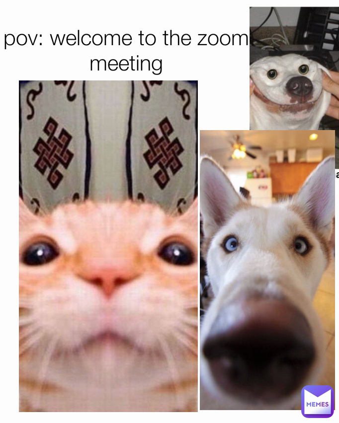 pov: welcome to the zoom meeting