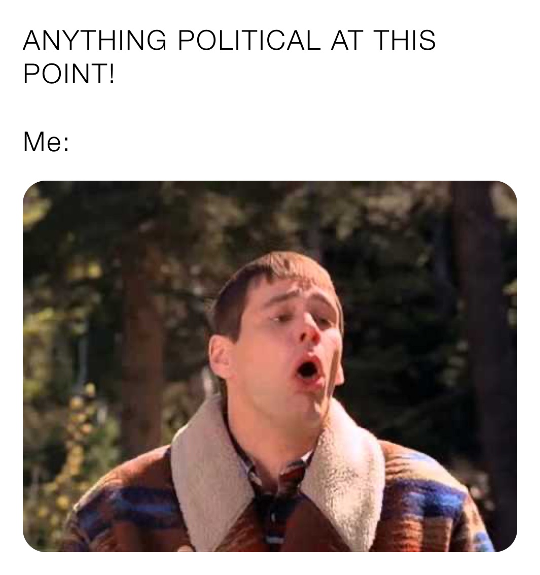 ANYTHING POLITICAL AT THIS POINT!

Me: